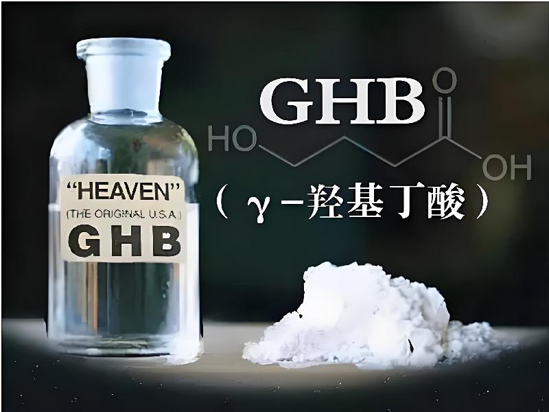 女士专用红蜘蛛1677-GVe型号